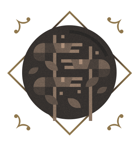 icono3